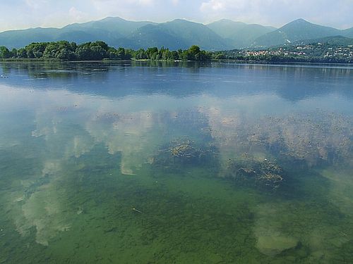 Ecco qual è il lago più inquinato della Provincia di Como