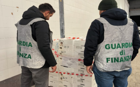 Controlli serrati sul pescato: metà delle attività erano irregolari