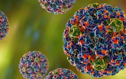 Conoscere l’HPV: appuntamento per conoscere il virus che causa i tumori prevenibili