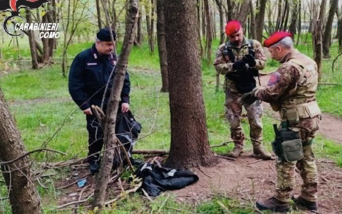 Spacciatore arrestato nei boschi grazie a un’operazione dei Carabinieri
