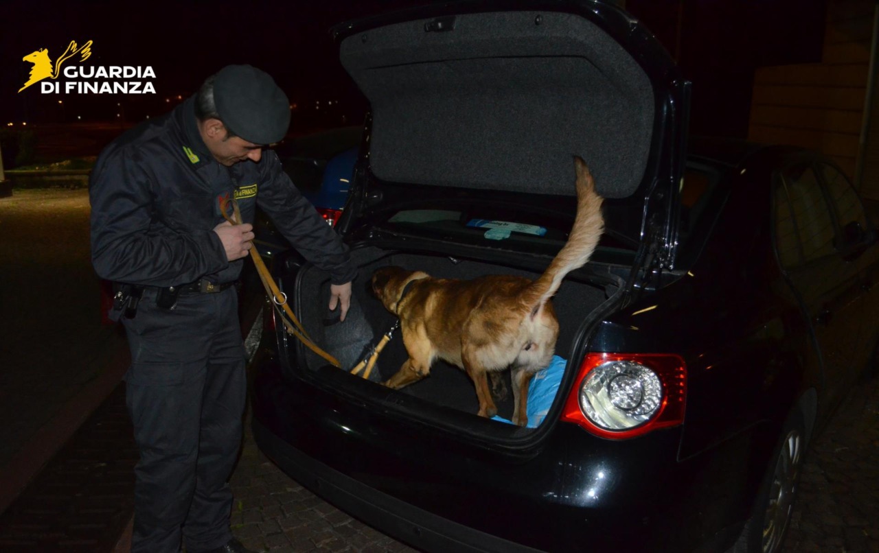 Hashish nel tombino: il cane antidroga la scopre in centro città