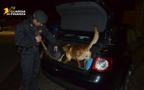 Hashish nel tombino: il cane antidroga la scopre in centro città