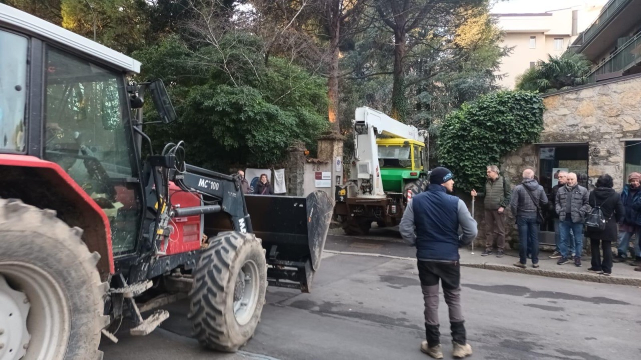 Iniziato il taglio delle piante in via Volta. Intervengono anche le forze dell’ordine