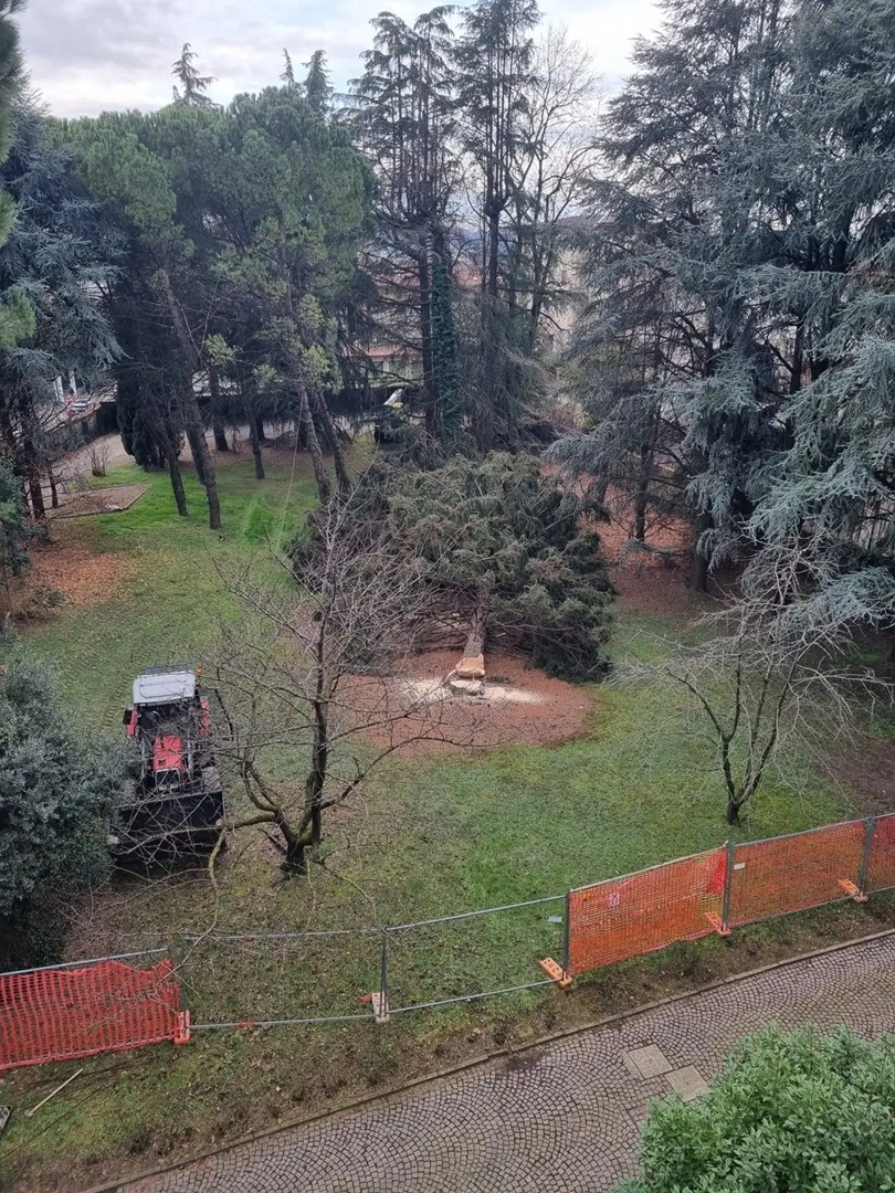 Taglio delle piante in via Volta, Circolo Ilaria Alpi: “Un vero e proprio scempio ambientale: vergogna!”
