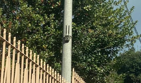 Il “Grande fratello” scova gli incivili: fototrappole e multe contro chi insozza