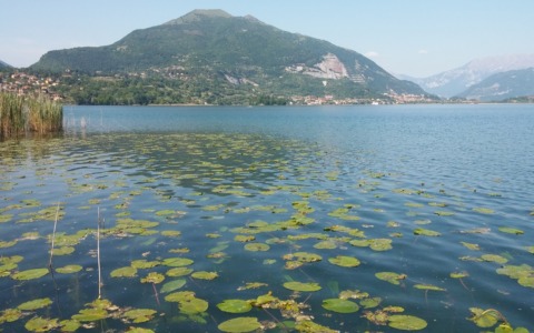 Risanamento delle acque dei laghi lombardi: si auspica un intervento sul lago di Pusiano