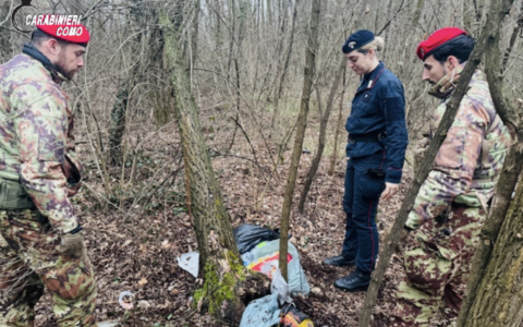 Smantellato un bivacco nei boschi a Baragiola, pusher in fuga