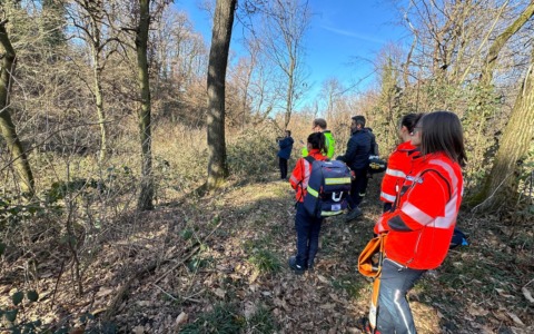 Uomo privo di vita trovato in una zona boschiva di Montano Lucino