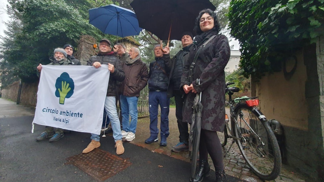 Via Volta, presidio contro l’abbattimento degli alberi. Ma per ora niente lavori