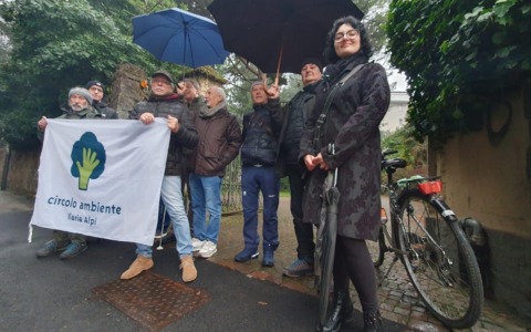 Via Volta, presidio contro l’abbattimento degli alberi. Ma per ora niente lavori