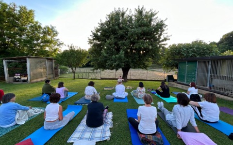 ViViAmo:  tra prevenzione, rinascita e benessere