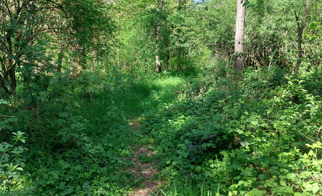Camminate della legalità alla Fiorenzuola