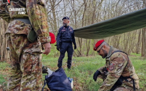 Operazione nei boschi: arrestato un ladro 27enne