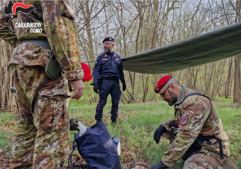 Operazione nei boschi: arrestato un ladro 27enne
