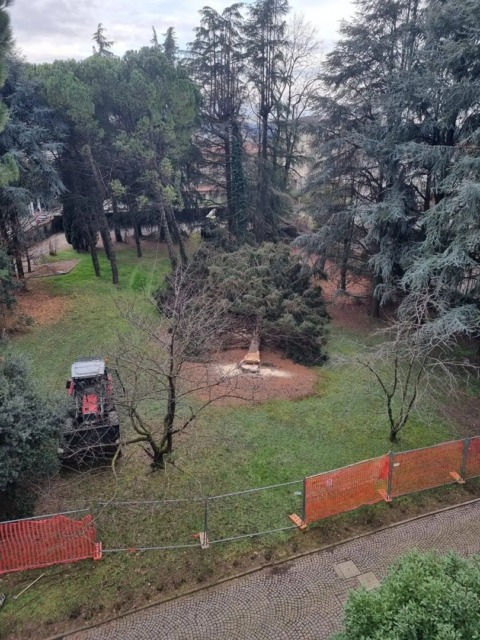 Circolo ambiente: “In via Volta, uno scempio ambientale”