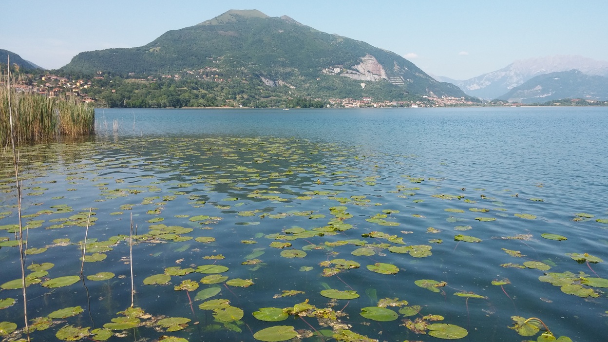 Rischio di inquinamento del fiume Lambro e del lago di Pusiano