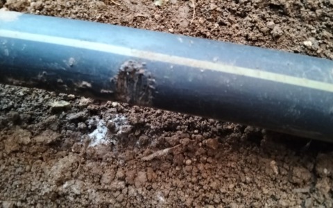 Ratti nelle Aler rodono un tubo del gas