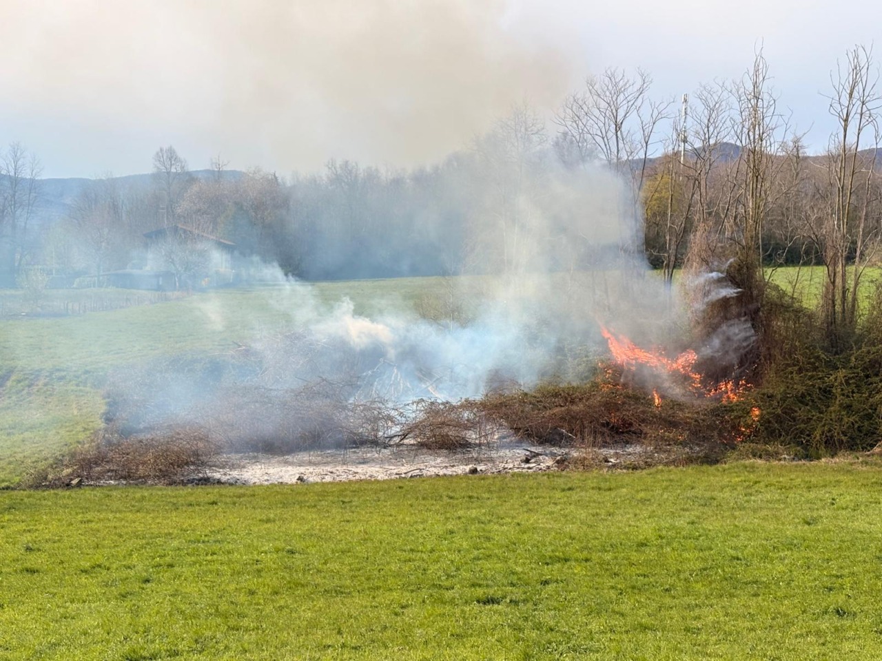 Fiamme in un campo, intervengono i Vigili del fuoco