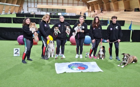 Esordio al campionato europeo di treibball con un settimo posto di cui essere fieri