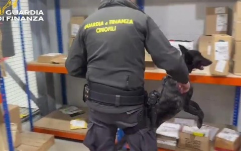 Droga spedita per pacco sequestrata dalla Guardia di finanza