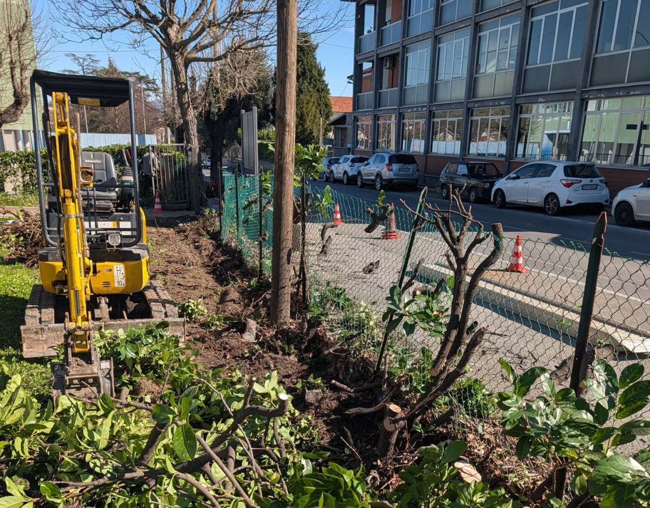 Lavori in biblioteca: via la siepe e non solo