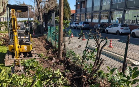 Lavori in biblioteca: via la siepe e non solo