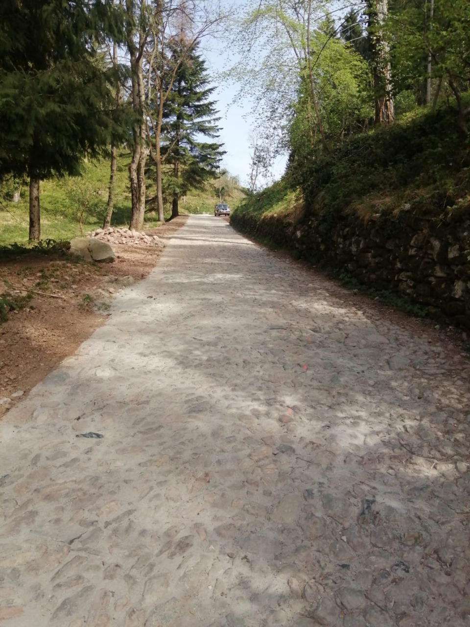 Via Per le Alpi, pavimentazione: da Regione arrivati 200mila euro