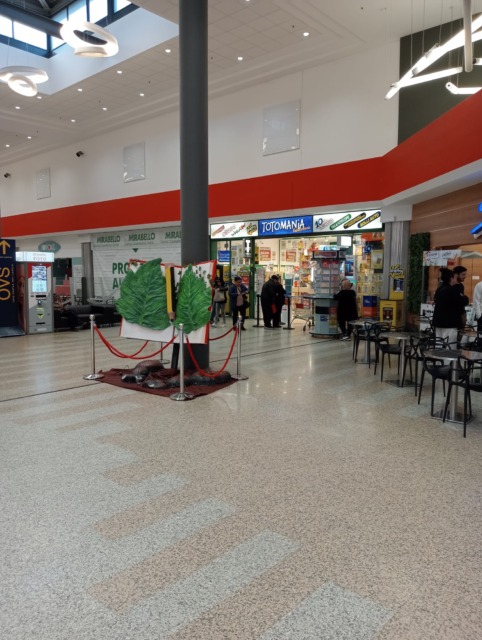 I malviventi si calano dal tetto: furto da 100mila euro