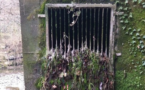 “Troppe fognature di tipo misto”: la denuncia del Circolo Ambiente “Ilaria Alpi”