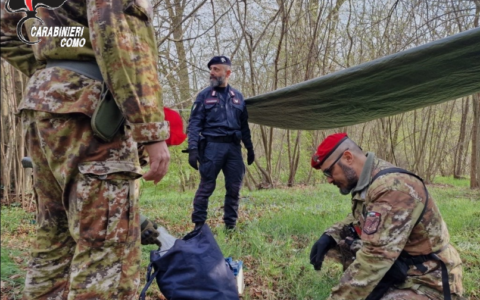 Spaccio nei boschi: arrestato un uomo
