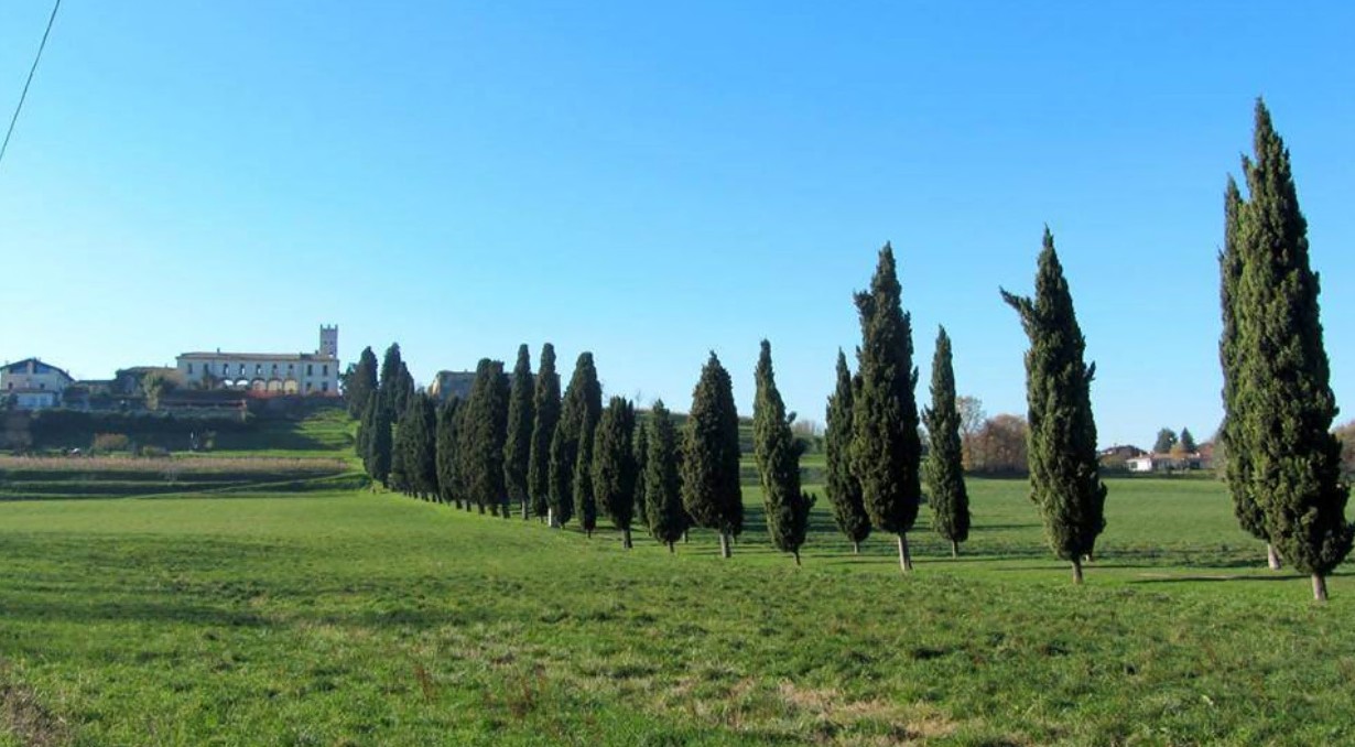 Polemica Z Festival lungo il viale dei Cipressi, Le Contrade: “Non opportuno”