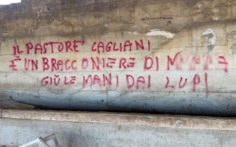 Taglia di 2mila euro contro gli animalisti colpevoli di diffamazione