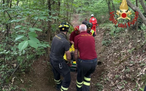 Cade nel bosco e rimane trafitto a una spalla