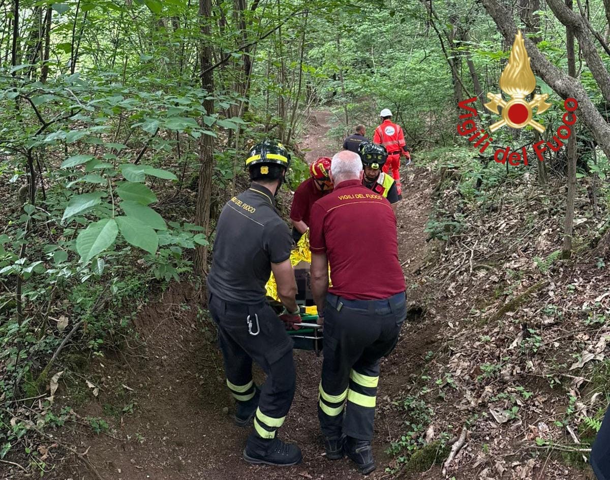 Cade nel bosco e rimane trafitto a una spalla