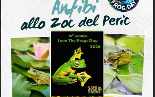 Serata alla scoperta degli anfibi dello Zoc del Peric