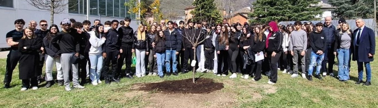 Un ciliegio a scuola per ricordare Eva
