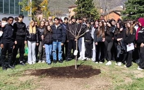 Un ciliegio a scuola per ricordare Eva