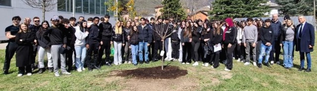 Un ciliegio a scuola per ricordare Eva
