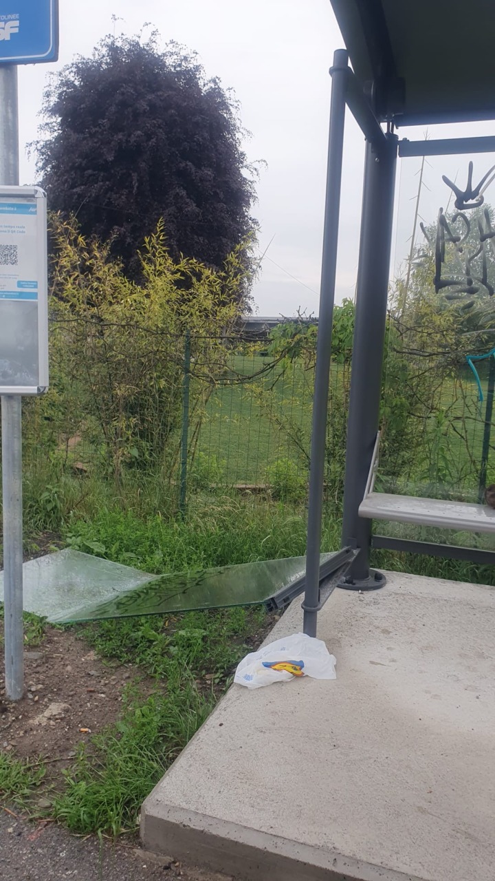 Abbatte dieci cartelli  e danneggia una pensilina, uomo fermato da Carabinieri e Polizia locale