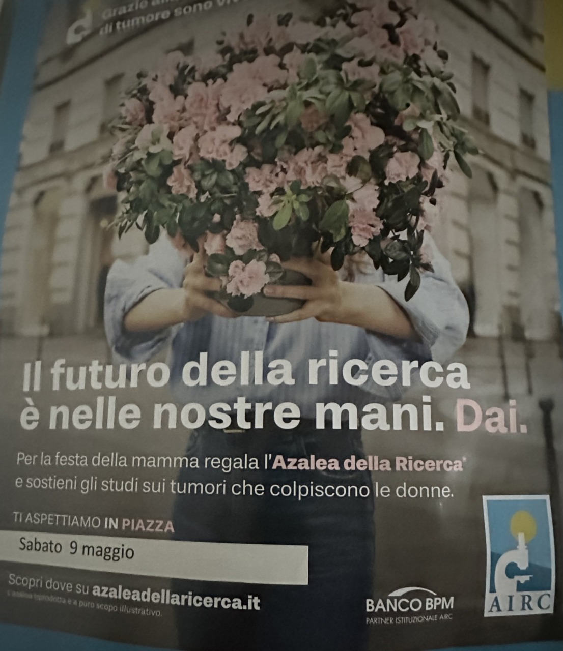 L’azalea della ricerca per sostenere la battaglia contro i tumori
