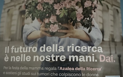 L’azalea della ricerca per sostenere la battaglia contro i tumori