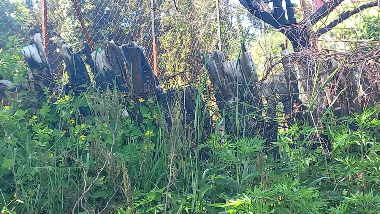 Polizia locale: grazie alle fototrappole e telecamere denunciato un piromane