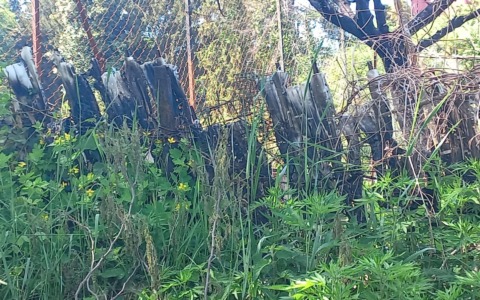 Polizia locale: grazie alle fototrappole e telecamere denunciato un piromane