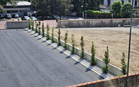 Asfalto e cemento al posto dello storico parco in centro
