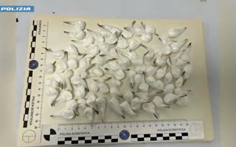 Tra la macchina e il nascondiglio aveva 100 dosi di cocaina: arrestato pusher itinerante