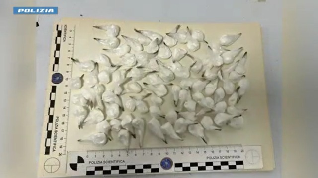Tra la macchina e il nascondiglio aveva 100 dosi di cocaina: arrestato pusher itinerante