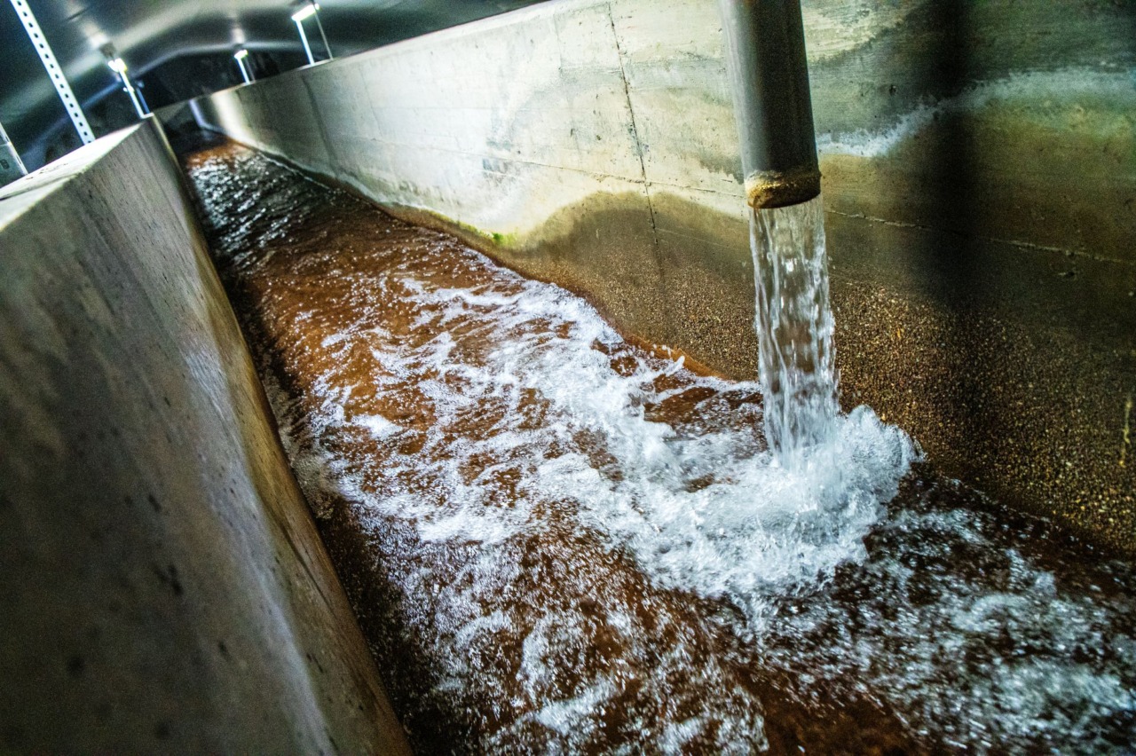 Caldo estivo, difendiamo l’acqua: il vademecum di Lereti