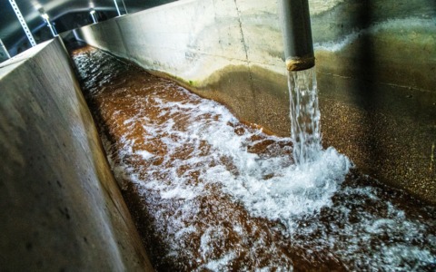 Caldo estivo, difendiamo l’acqua: il vademecum di Lereti