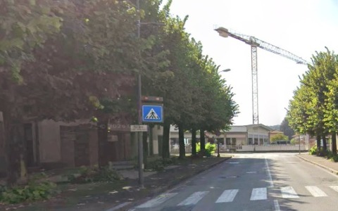 “No al taglio dei tigli”: l’appello del circolo ambiente