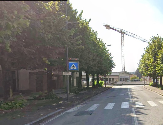 “No al taglio dei tigli”: l’appello del circolo ambiente